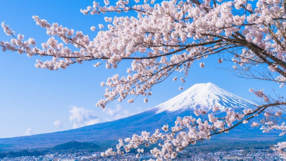 Nhật Bản Rực Rỡ Mùa Hoa Anh Đào: Tokyo – Núi Phú Sĩ – Nagoya – Kyoto – Osaka (5N5D) Du Lich Nhat Ban Mua Hoa Anh Dao Nui Phu Si