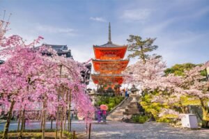 Visa Các Nước - Dịch Vụ Visa Nhật Bản - Khám Phá Nước Mặt Trời Mọc: Osaka - Kobe - Kyoto - Nagoya Yamanashi - Tokyo (5N5D)