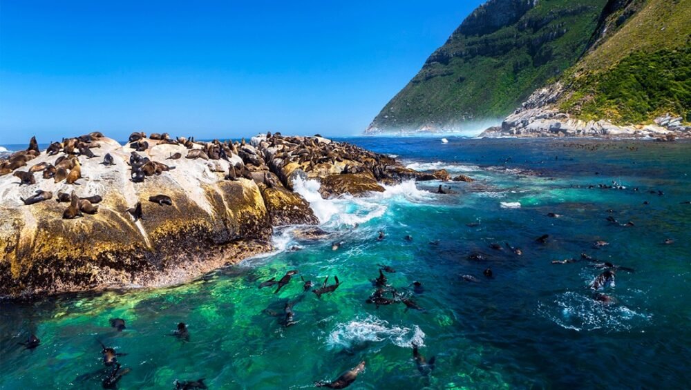 Du Lịch Nam Phi – Vùng Đất Cầu Vồng: Johannesburg–Pretoria–Safari Game Lodge–Hermanus–Mũi Hảo Vọng–Núi Bàn–Cape Town (9N7D) Du Lich Nam Phi