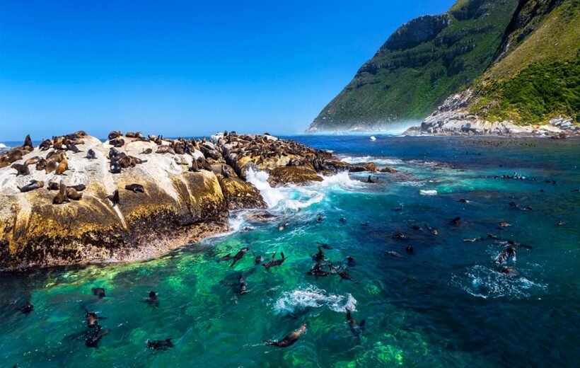 Du Lịch Nam Phi – Vùng Đất Cầu Vồng: Johannesburg–Pretoria–Safari Game Lodge–Hermanus–Mũi Hảo Vọng–Núi Bàn–Cape Town (9N7D)