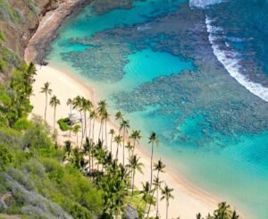 Thiên Đường Miền Trung 2025: Đà Nẵng–Bà Nà–Hội An–Cù Lao Chàm (3N2D)