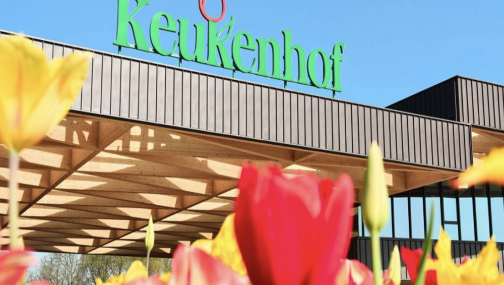 Châu Âu 5 Nước 2026: Đức–Luxembourg–Bỉ–Hà Lan–Pháp (10N9D), Vietnam Airlines LE HOI HOA TULIP KEUKENHOF