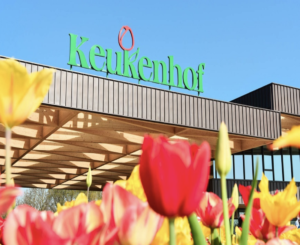 Châu Âu 5 Nước 2026: Đức–Luxembourg–Bỉ–Hà Lan–Pháp (10N9D), Vietnam Airlines