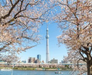 Khám Phá Cung Đường Vàng Nhật Bản: Tokyo-Núi Phú Sĩ-Nagoya-Kyoto-Osaka (6N5D)