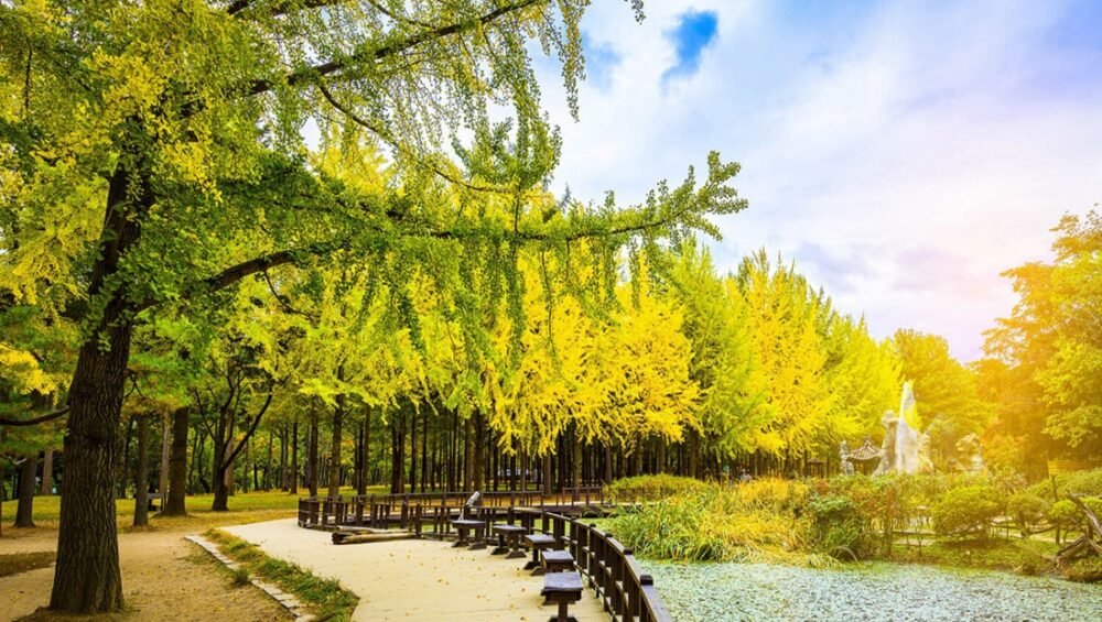 Du Lịch Hàn Quốc: Seoul-Đảo Nami-Tháp Namsan (5N4D) VJ du lich dao nami