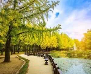 Du Lịch Hàn Quốc: Seoul-Đảo Nami-Tháp Namsan (5N4D) VJ