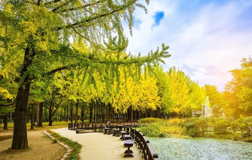 Du Lịch Hàn Quốc: Seoul-Đảo Nami-Tháp Namsan (5N4D) VJ
